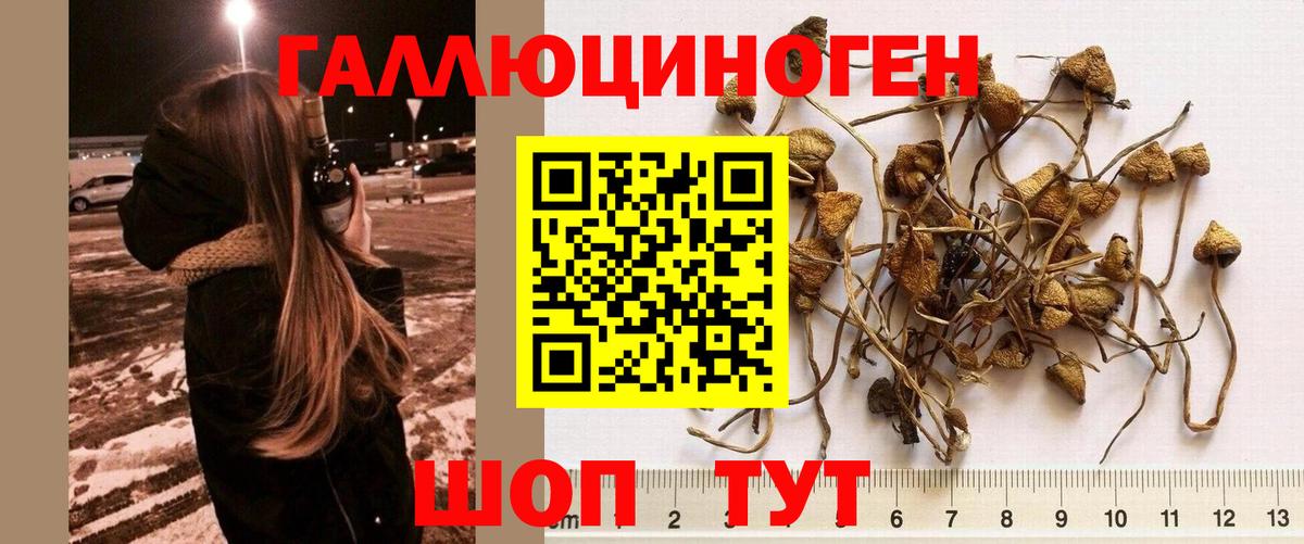 Галлюциногенные грибы мицелий  Вход с VPN  Ульяновск 